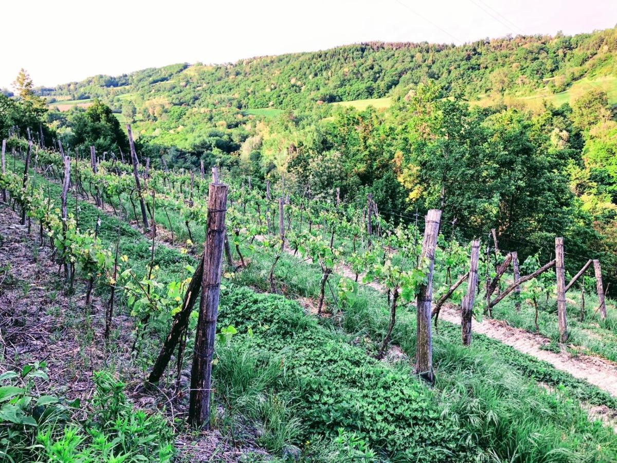 Agriturismo Borghetto La Radice Roccaverano Екстер'єр фото