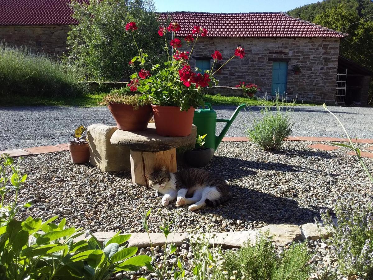 Agriturismo Borghetto La Radice Roccaverano Екстер'єр фото